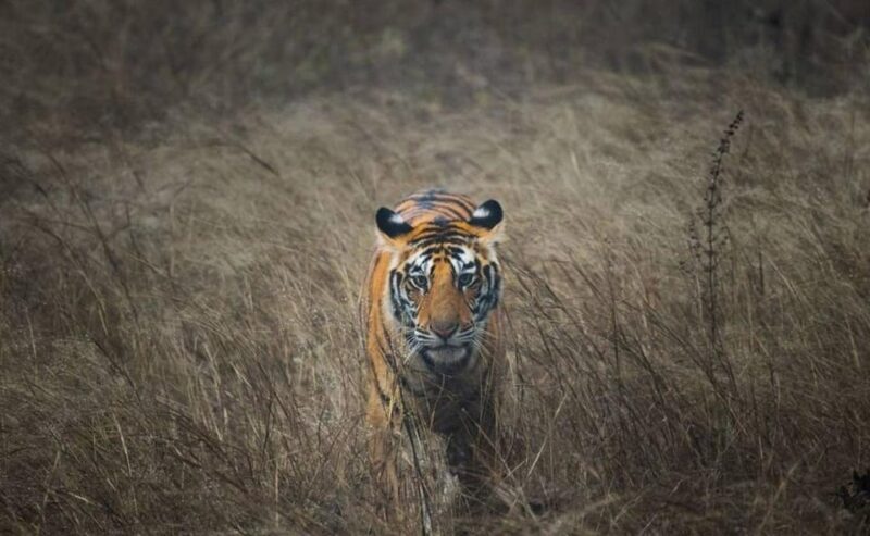 3-Days Private Luxury Golden Triangle Tour Agra Jaipur Delhi - Practical Tips and Insights