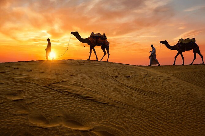 3 - Days Private Luxury Golden Triangle Tour to Jaipur and Agra From New Delhi - Accommodation and Services Included