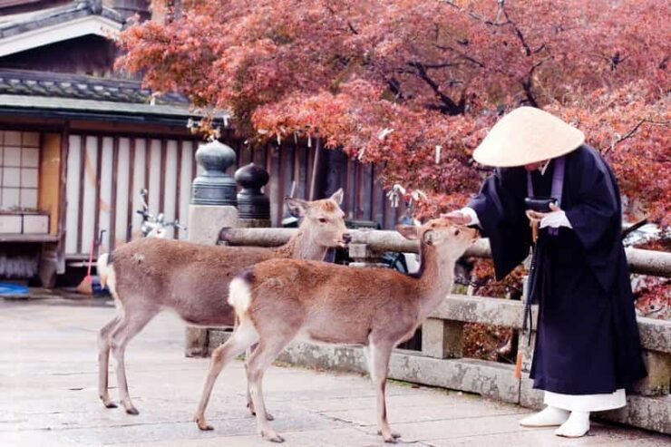 3 Days Private Osaka Kyoto and Nara Tour With English Driver - Day 1: Exploring Osaka