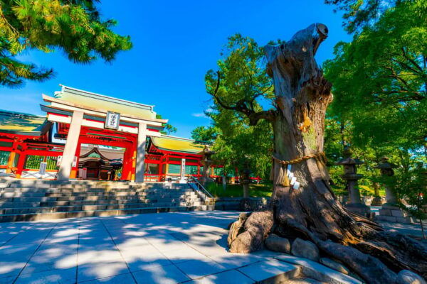 3 Days Private Osaka Kyoto and Nara Tour With English Driver - Frequently Asked Questions