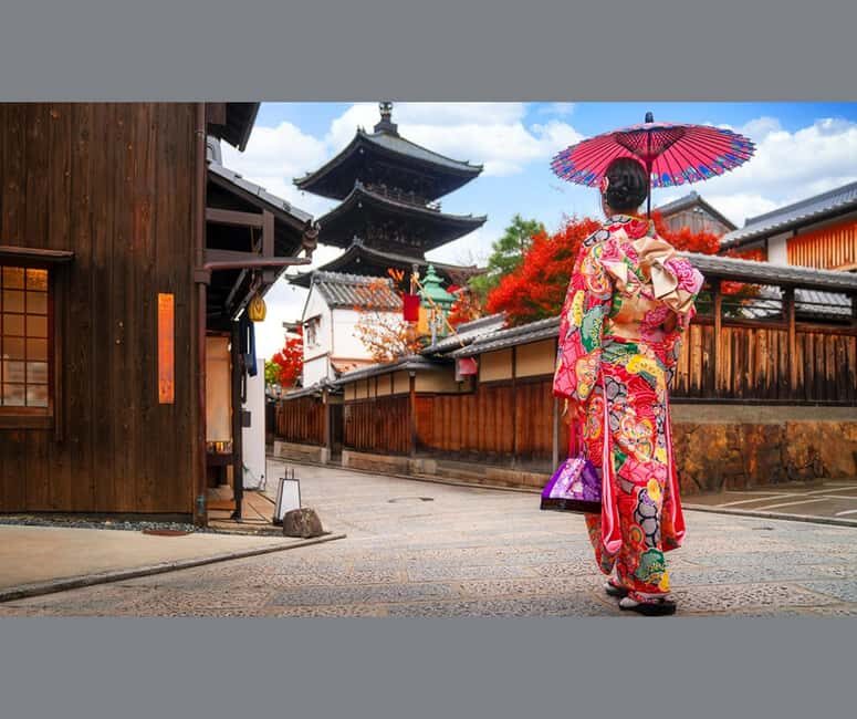 3 Days Private Osaka Kyoto and Nara Tour with English Driver - Who Is This Tour Best For?