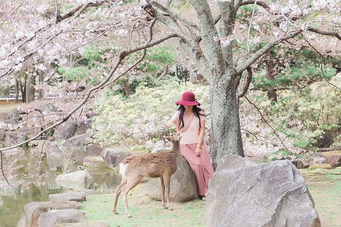 3 Days Private Osaka Kyoto and Nara Tour With English Driver - Booking and Cancellation Policy