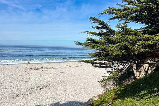 3 Days Private Pacific Tour to Big Sur Hearst Castle and more - A Closer Look at the 3-Day Private California Adventure