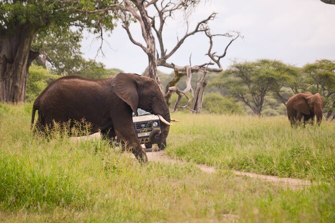 3 Days Private Safari Tarangire ,Ngorongroro Crater &Manyara - Booking and Confirmation Process