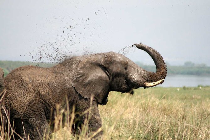 3 Days Private Safari Tour at Queen Elizabeth National Park in Uganda - Frequently Asked Questions