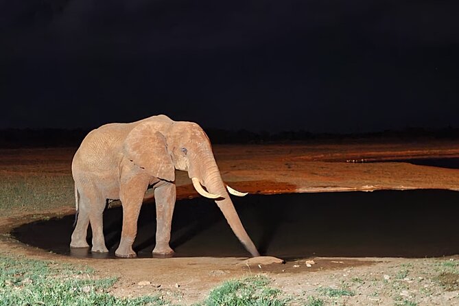 3 Days Private Safari Tsavo East and West Tour - The Sum Up