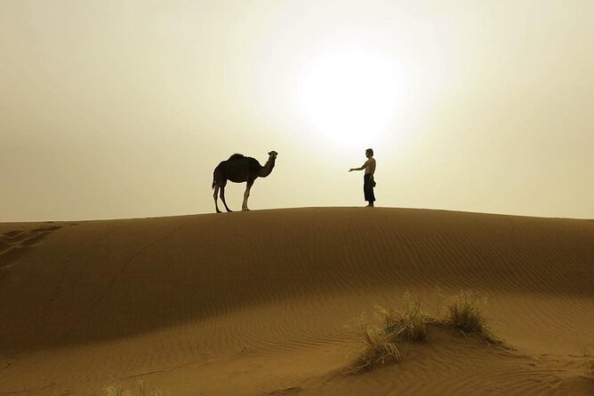 3-Days Private Sahara Desert Trek - Tour Overview
