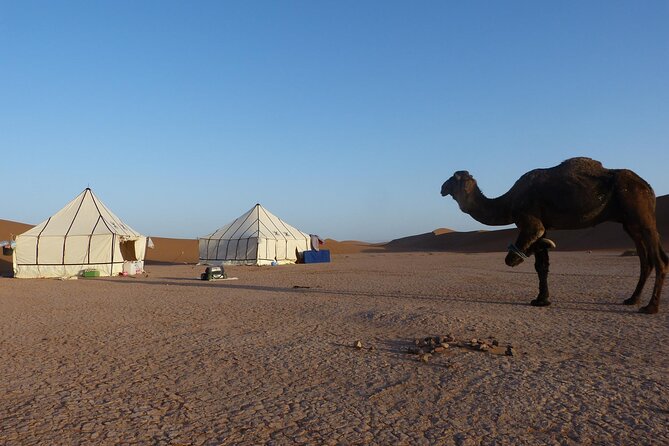 3-Days Private Sahara Desert Trek - Itinerary Details