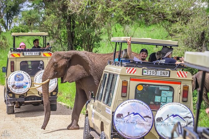 3 Days Private Taste of Tanzania Wilderness Safari-Camping Safari - Additional Information