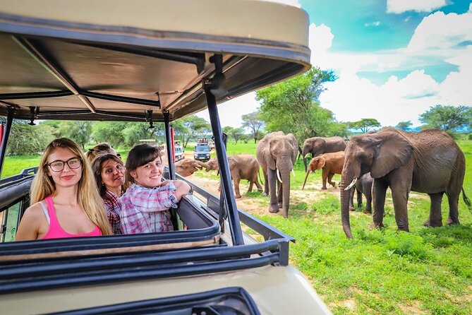 3 Days Private Taste of Tanzania Wilderness Safari-Camping Safari - Exclusions and Tips