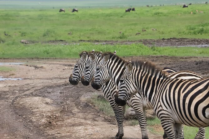 3 Days Private Taste of Tanzania Wilderness Safari-Camping Safari - Departure Instructions
