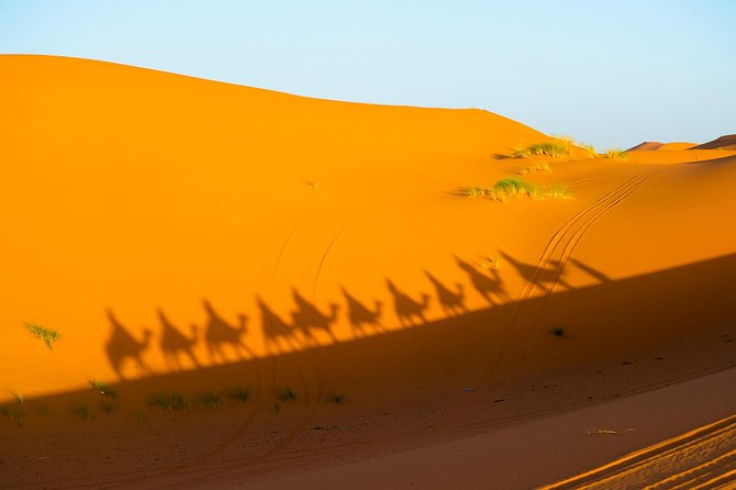 3-Days Private Tour From Marrakech to Fez Through Merzouga Desert - Local Guide and Expert Commentary