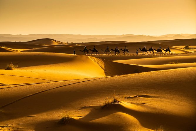 3-Days Private Tour From Marrakech to Fez Through Merzouga Desert - Cultural Immersion and Sightseeing