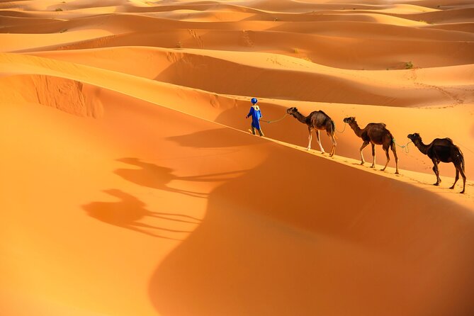 3 Days Private Tour From Marrakech to Merzouga - Tour Highlights