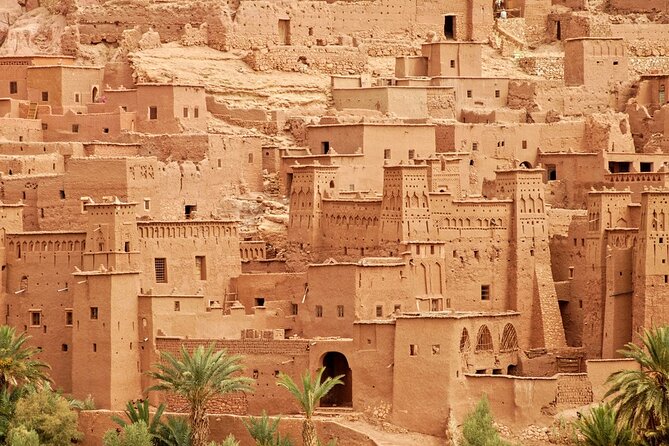 3 Days Private Tour From Marrakesh to Fes via Merzouga Desert - Customer Reviews