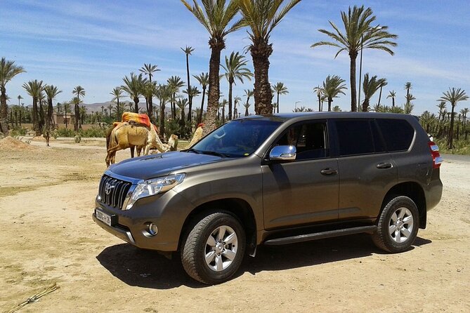 3 Days Private Tour From Marrakesh to Fes via Merzouga Desert - Booking and Cancellation Policy