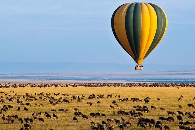 3 Days Private Tour in Maasai Mara - Itinerary Details
