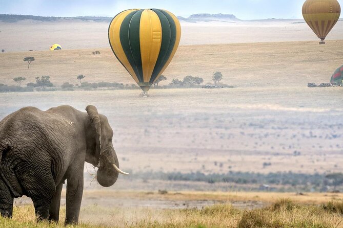 3 Days Private Tour in Maasai Mara - Booking Information