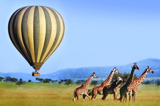 3 Days Private Tour in Maasai Mara - Frequently Asked Questions