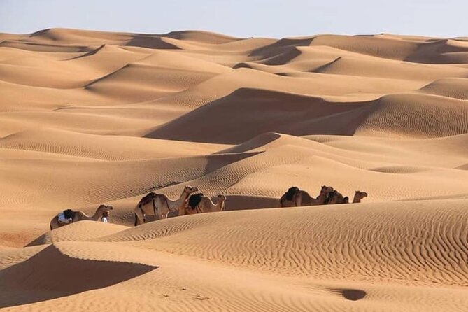 3-Days Private Tour in Oman With Pick up - The Sum Up