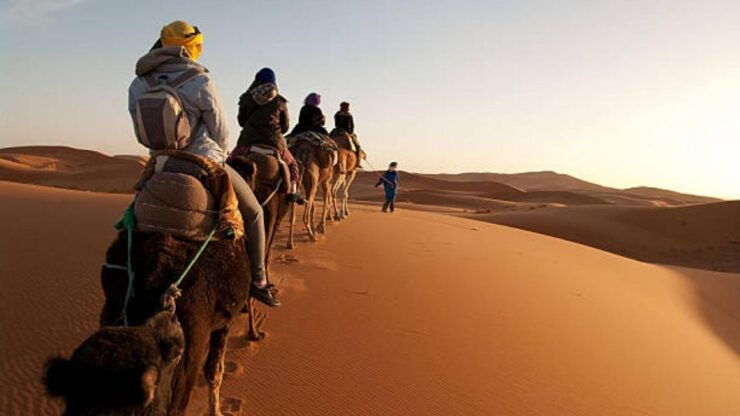 3 Days Private Tour Marrakech to Fes via Merzouga Desert - Accommodation and Dining Details