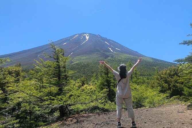 3 days Private Tour to Mt. Fuji with Local English Speaking Guide - Overall Impression of the Tour