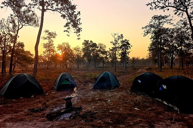 3 Days Private Xe Champhone Eld's Deer Sanctuary Tour. - Tour Highlights