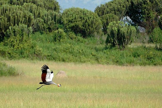3 Days Queen Elizabeth National Park Safari - Frequently Asked Questions