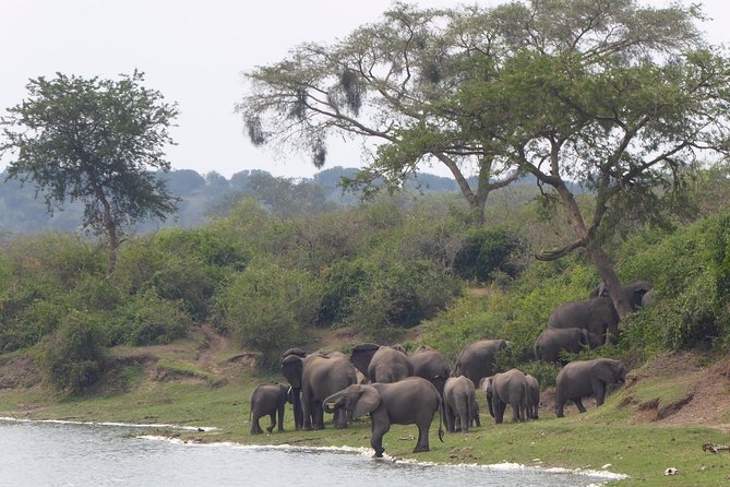 3 Days Queen Elizabeth National Park Uganda Safari - Practical Information
