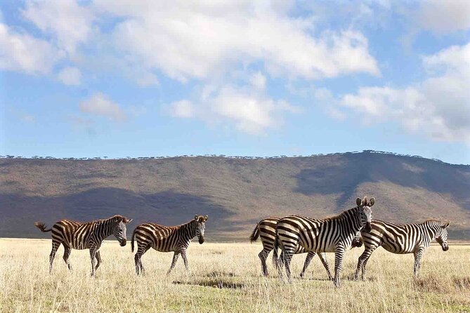 3 Days Safari Adventure to Serengeti and Ngorongoro in Tanzania, Africa - Frequently Asked Questions