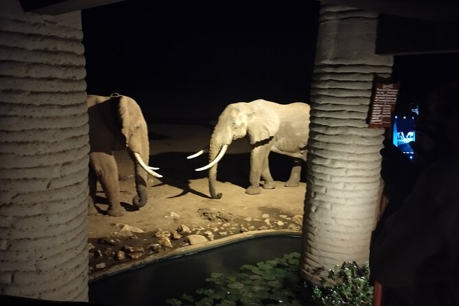 3 Days Safari Amboseli Taita Hills Saltlick Lodge - Good To Know