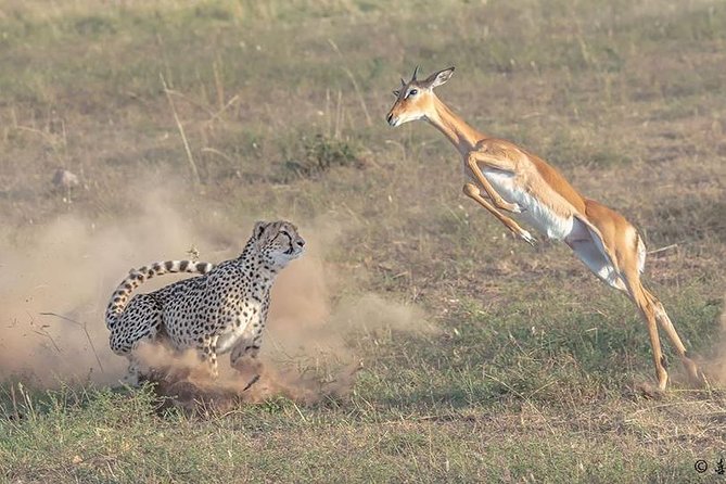 3 Days Safari in Amboseli National Park - Good To Know
