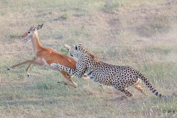 3 Days Safari in Amboseli National Park - Inclusions