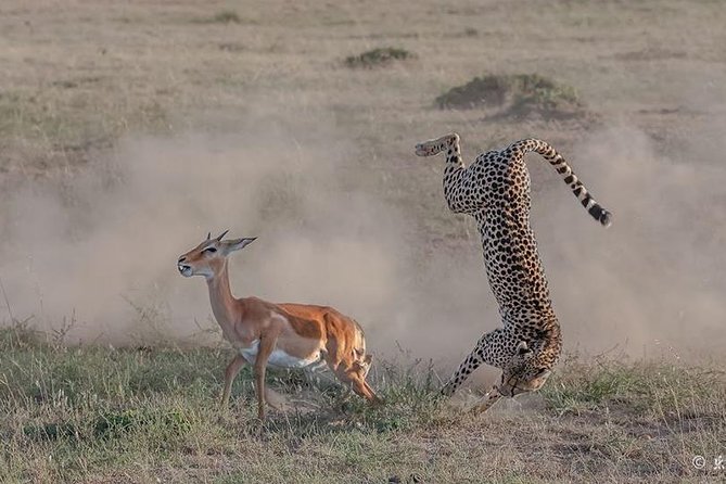 3 Days Safari in Masai Mara, Kenya - Logistics and Additional Information