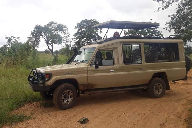 3 Days Safari - Mikumi National Park - Inclusions and Exclusions