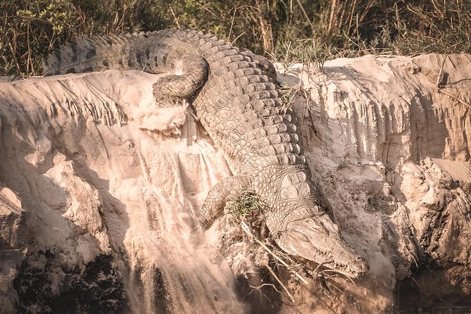 3 Days Safari - Mikumi National Park - Booking and Cancellation Policy