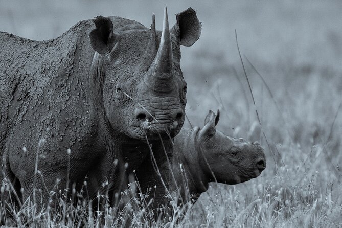 3 Days Safari, Serengeti National Park and Ngorongoro Crater - Inclusions and Accessibility Details