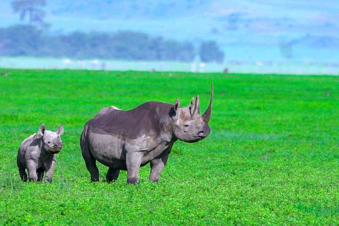 3 Days Safari; Tarangire N.P, Ngorongoro Crater and Lake Manyara National Park - Frequently Asked Questions