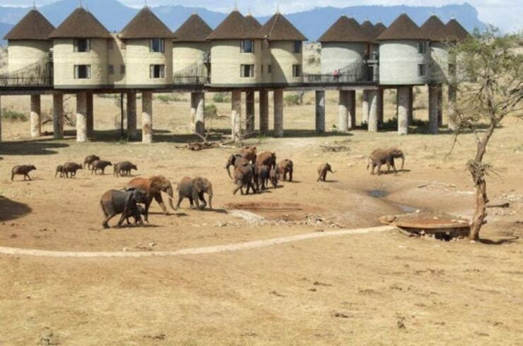 3 Days Safari to Saltlick Lodge From Nairobi - Booking Details and Logistics