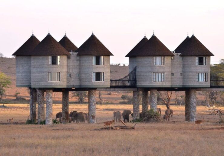 3 Days Safari to Saltlick Lodge From Nairobi - Safari Experience