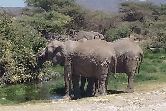 3 Days Safari to Samburu N/R and Ol Pejeta Conservancy.- Luxury. - Safari Itinerary Highlights