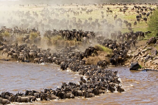 3 Days Safari to Tarangire, Ngorongoro and Manyara From Zanzibar - Itinerary Highlights