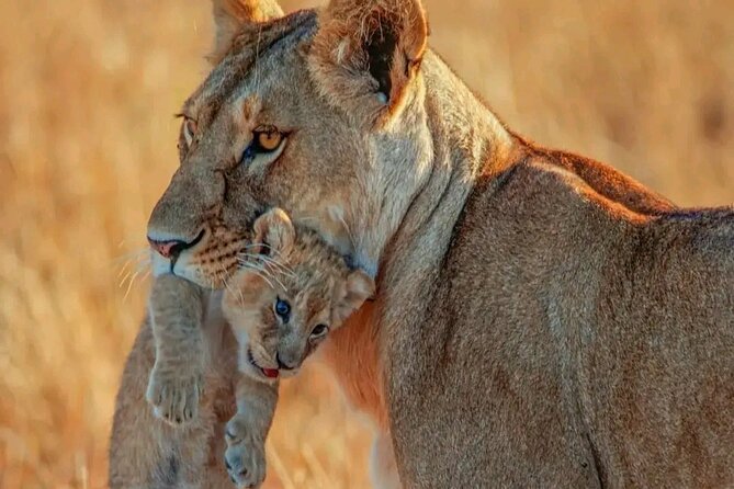 3 Days Safari to Tarangire, Ngorongoro and Manyara National Park - Good To Know