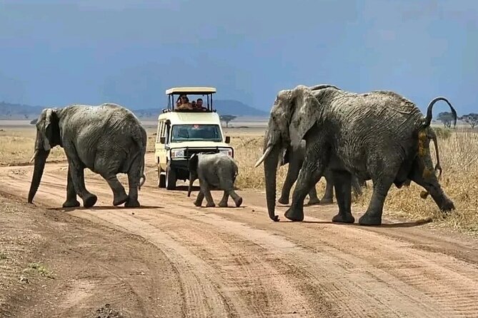 3 Days Safari to Tarangire, Ngorongoro and Manyara National Park - Frequently Asked Questions