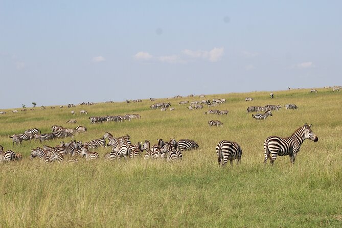 3 Days Safari Tour in Lake Manyara and Ngorngoro - Good To Know