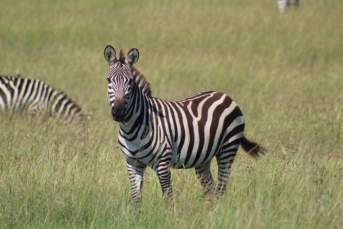 3 Days Safari Tour in Lake Manyara and Ngorngoro - Itinerary Details