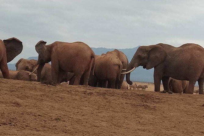3 Days Safari Tsavo East and West - Frequently Asked Questions