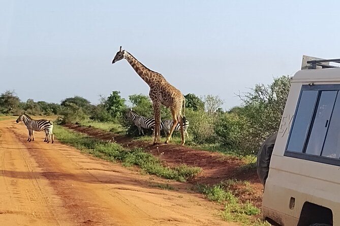 3 Days Safari Tsavo West and Tsavo East - Booking Confirmation and Expectations