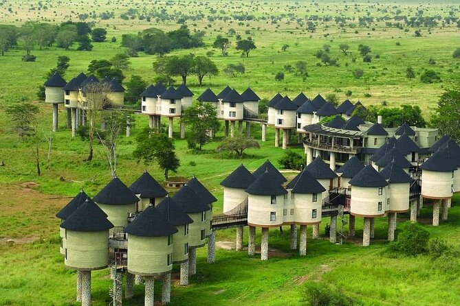 3 Days Safaris Tsavo East National Park and Taita Hills Saltlick - Good To Know