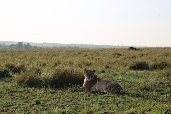 3 Days Safaris Tsavo East National Park and Taita Hills Saltlick - Tour Highlights